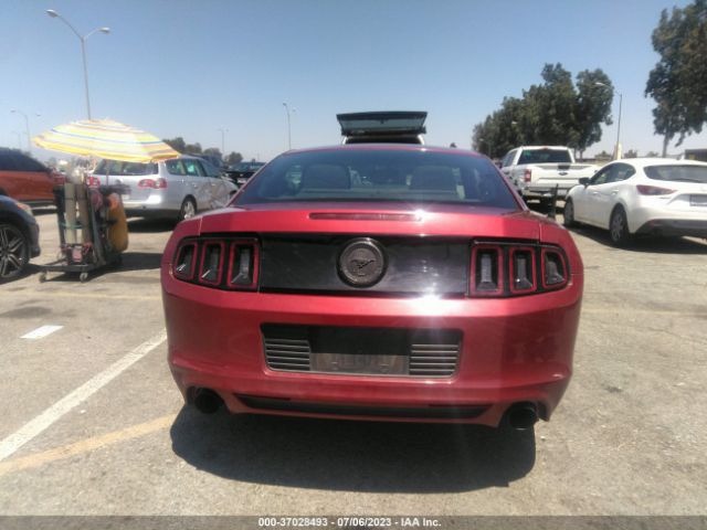 1ZVBP8AMXE5327615 Ford Mustang V6