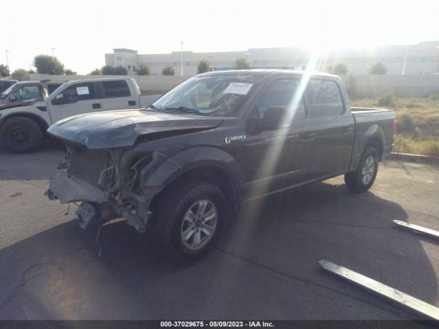1FTEW1C86GFA30848 Ford F-150 Xlt/xl