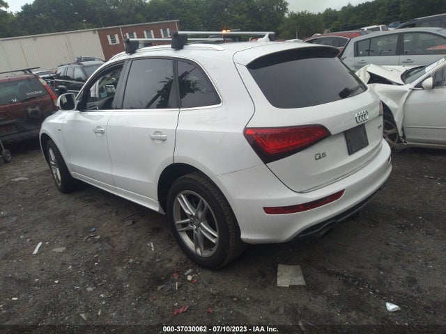 WA1D7AFP7GA144649 Audi Q5 Premium Plus