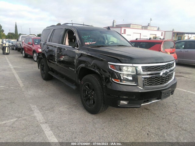 2019 1GNSKBKC3KR395593 main image