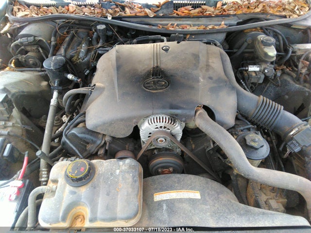 1999 FORD CROWN VICTORIA LX VIN: 2FAFP74W8XX231842