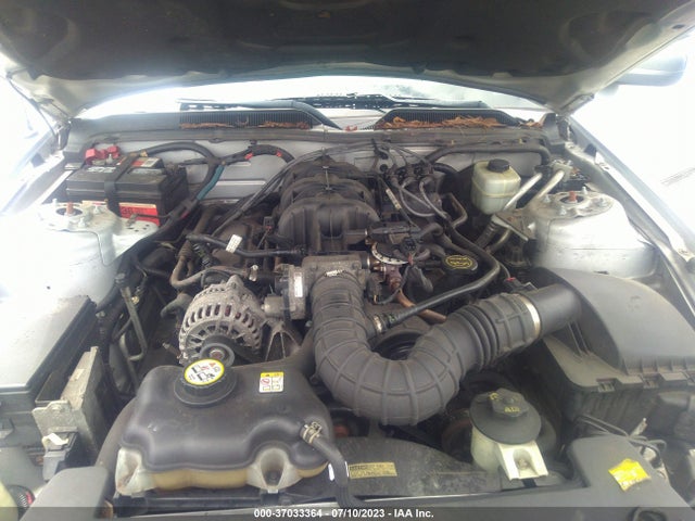 2006 FORD MUSTANG STANDARD/DELUXE/PREMIUM VIN: 1ZVHT80N265221824