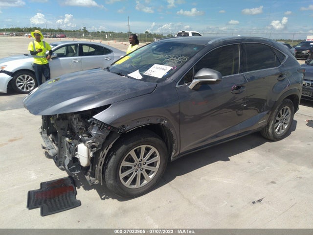 JTJBJRBZ5K2112531 Lexus Nx Nx 300h