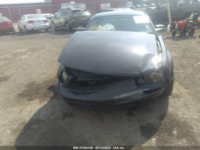 2009 FORD MUSTANG VIN: 1ZVHT80N995109848