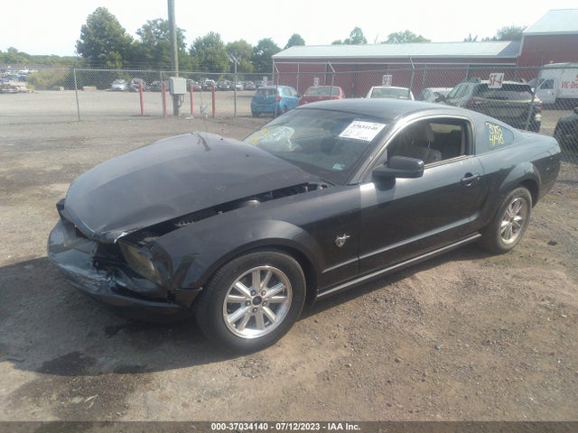 2009 FORD MUSTANG VIN: 1ZVHT80N995109848