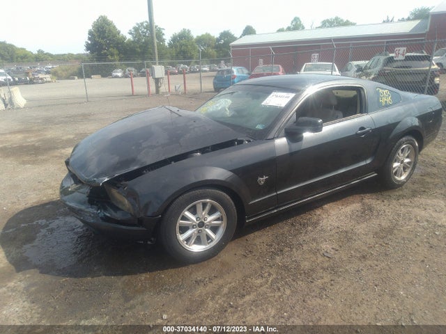 2009 FORD MUSTANG VIN: 1ZVHT80N995109848