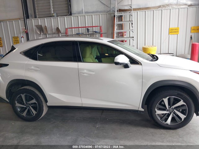 2019 Lexus NX, VIN: JTJYARBZ2K2143388