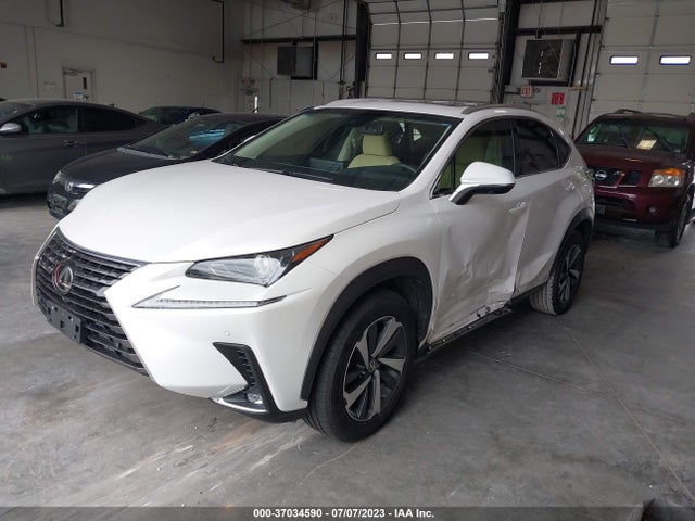 2019 Lexus NX, VIN: JTJYARBZ2K2143388