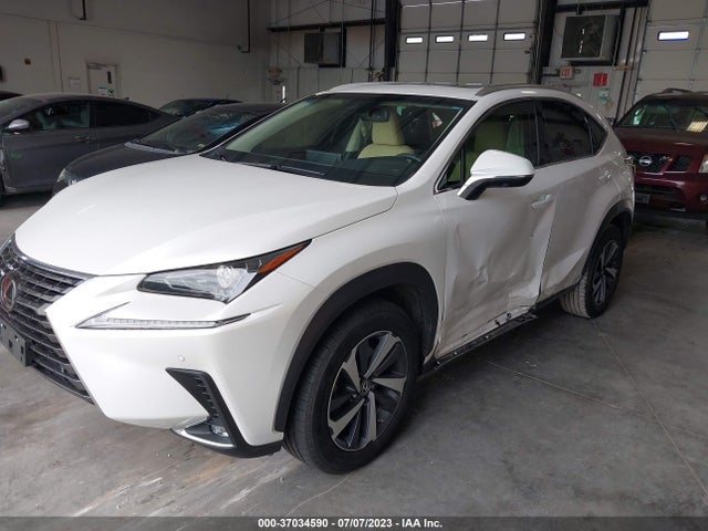 2019 Lexus NX, VIN: JTJYARBZ2K2143388