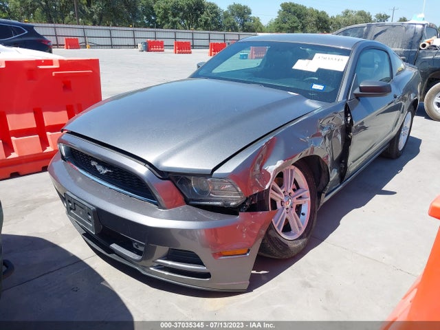 2013 FORD MUSTANG V6 VIN: 1ZVBP8AM6D5262177