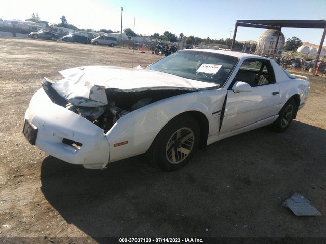 1991 PONTIAC FIREBIRD VIN: 1G2FS23TXML212323