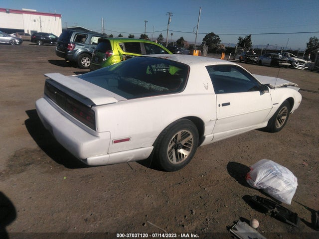 1991 PONTIAC FIREBIRD VIN: 1G2FS23TXML212323