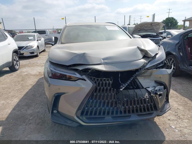 2023 Lexus NX, VIN: 2T2GGCEZ3PC026316