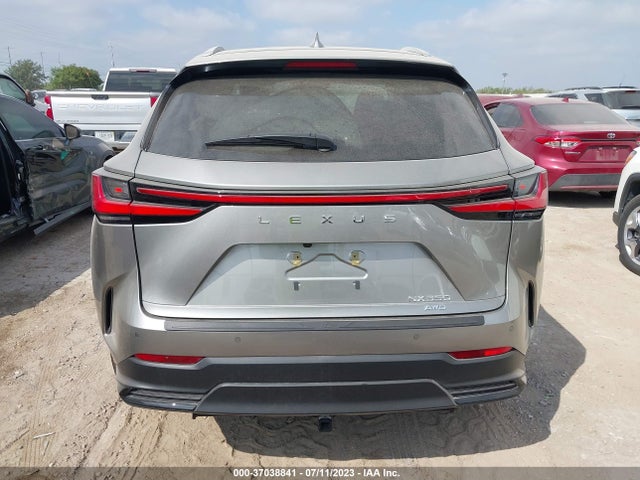 2023 Lexus NX, VIN: 2T2GGCEZ3PC026316