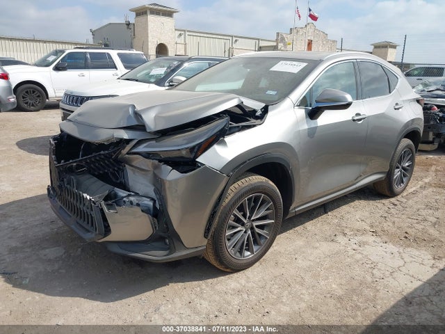 2023 Lexus NX, VIN: 2T2GGCEZ3PC026316