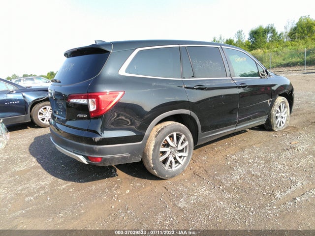 Honda Pilot Ex-l 2019 5FNYF6H41KB039244 Image 4