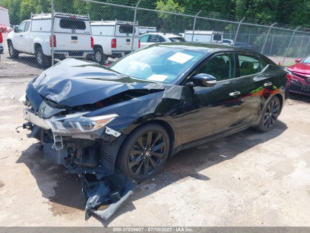 1N4AA6AP9HC438239 Nissan Maxima Sr