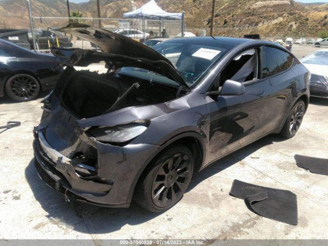 5YJYGDEE4MF183145 Tesla Model Y Long Range