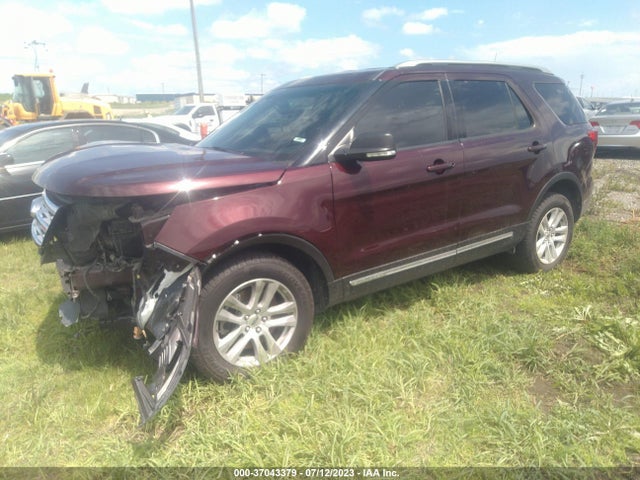 Ford EXPLORER XLT 2019 1FM5K8D87KGA09251 Image 6