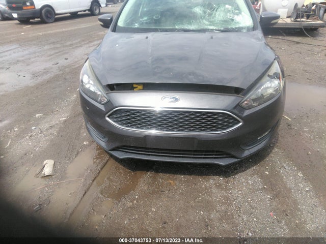 1FADP3K20GL407246 Ford FOCUS SE
