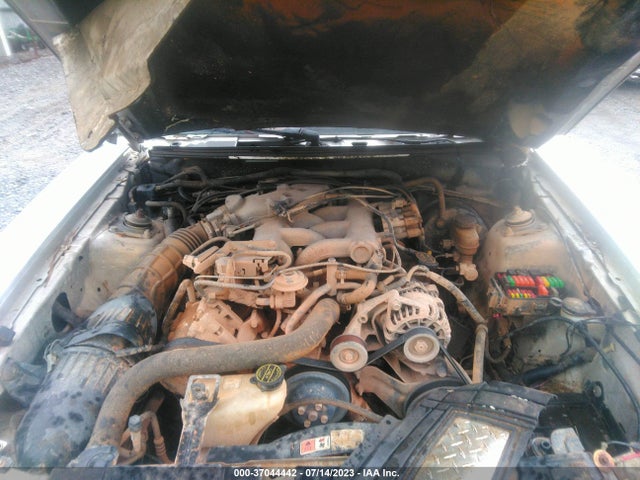 2004 FORD MUSTANG DELUXE/PREMIUM VIN: 1FAFP44684F196404