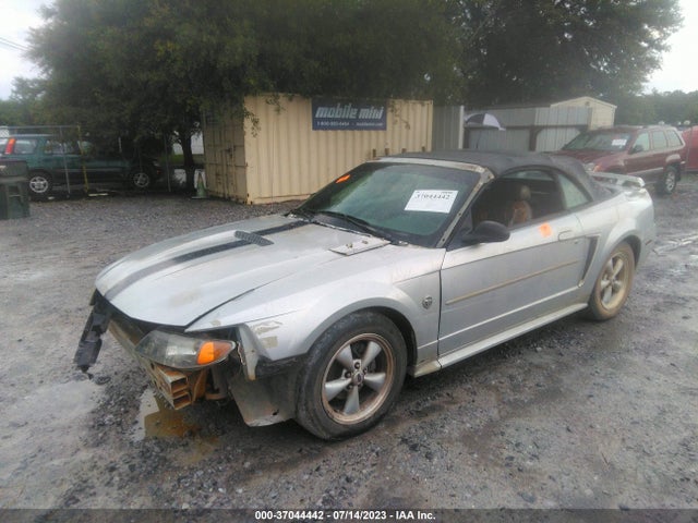 2004 FORD MUSTANG DELUXE/PREMIUM VIN: 1FAFP44684F196404