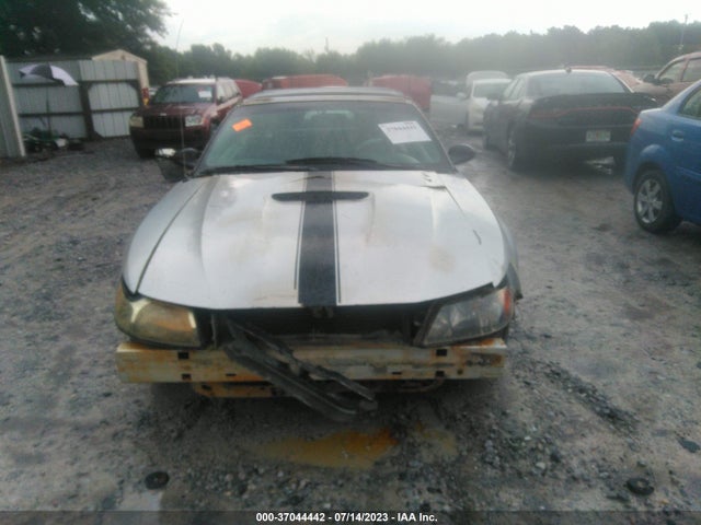 2004 FORD MUSTANG DELUXE/PREMIUM VIN: 1FAFP44684F196404