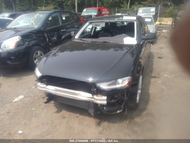 WAUFFAFL8GA010535 Audi A4 Premium Plus