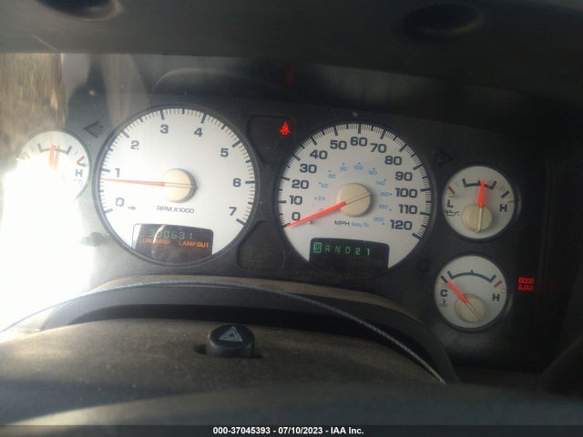 2004 DODGE RAM 1500 SLT VIN: 1D7HA18D44J290133