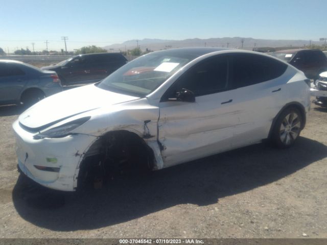 7SAYGDEE4PA064242 Tesla Model Y Long Range
