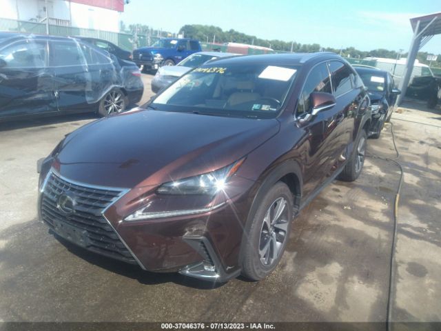 JTJBARBZ8K2201297 Lexus NX 300