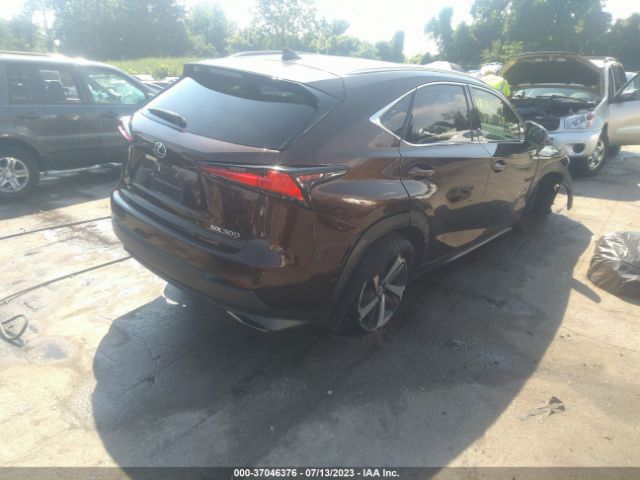 JTJBARBZ8K2201297 Lexus NX 300