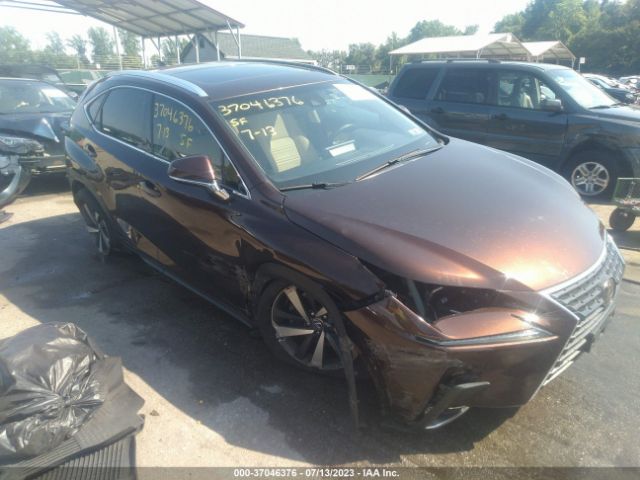 JTJBARBZ8K2201297 Lexus NX 300