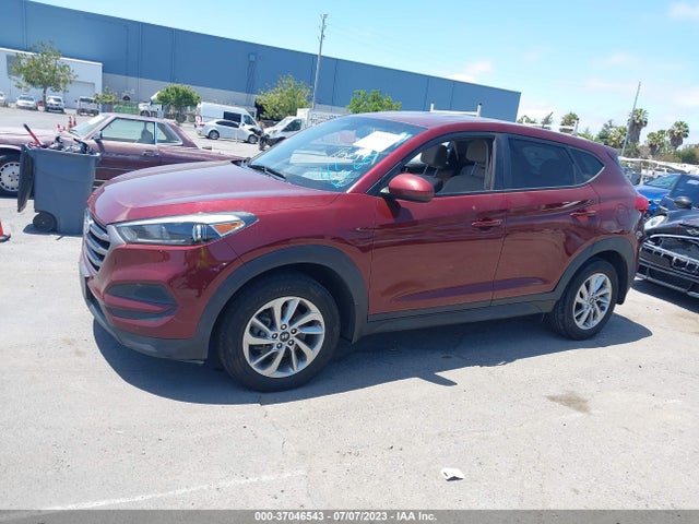 Hyundai TUCSON SE 2016 KM8J23A44GU203456 Image 13