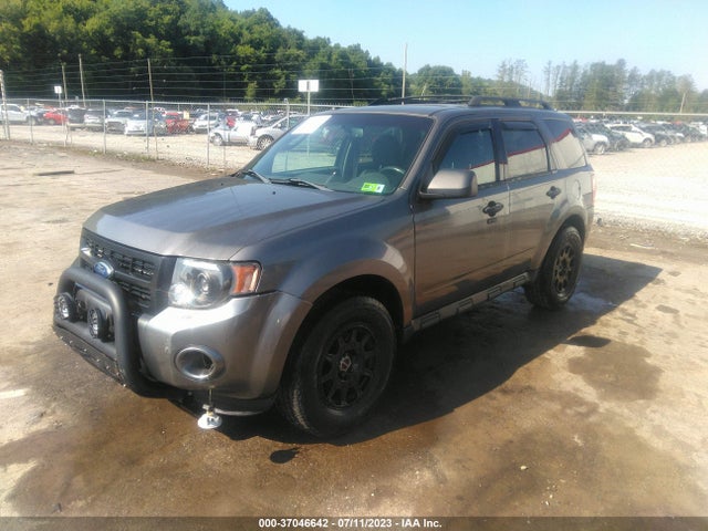 2011 FORD ESCAPE XLT VIN: 1FMCU9DG5BKB43395