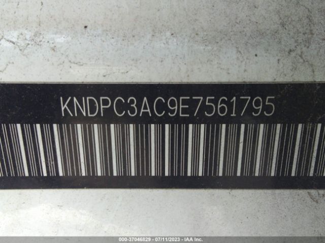 KNDPC3AC9E7561795 KIA Sportage Ex