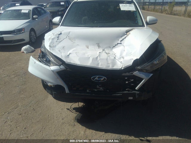 Hyundai TUCSON SEL 2019 KM8J33AL6KU841284 Image 12