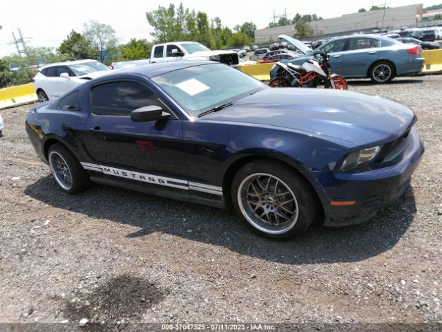 2011 FORD MUSTANG 1ZVBP8AM3B5130930
