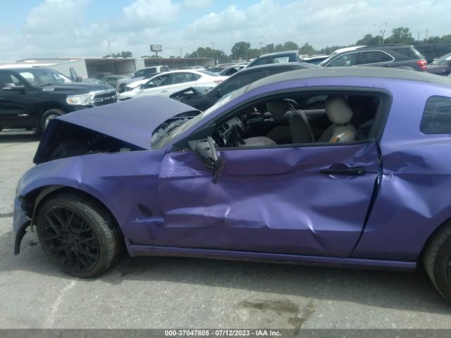 1ZVBP8AMXE5210049 Ford Mustang V6