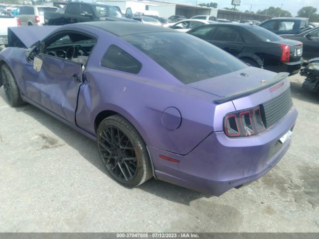 1ZVBP8AMXE5210049 Ford Mustang V6