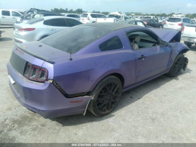 1ZVBP8AMXE5210049 Ford Mustang V6