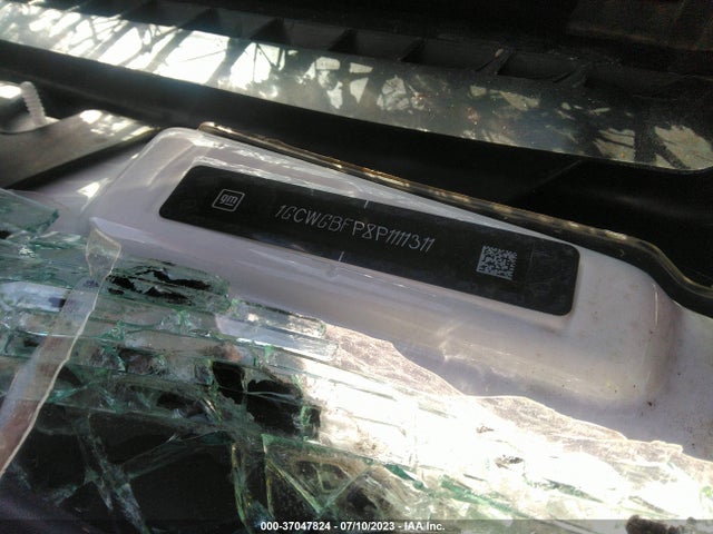 Chevrolet EXPRESS CARGO VAN 2023 1GCWGBFP8P1111311 Image 9