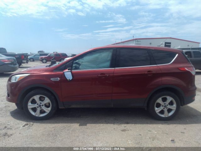 1FMCU9GX5EUC28788 Ford ESCAPE SE