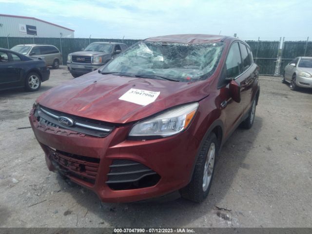 1FMCU9GX5EUC28788 Ford ESCAPE SE