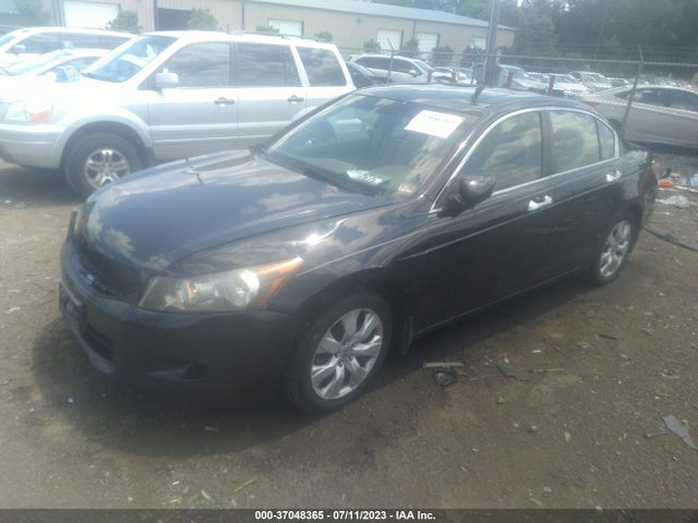2008 HONDA ACCORD SDN EX-L VIN: 1HGCP36868A033230