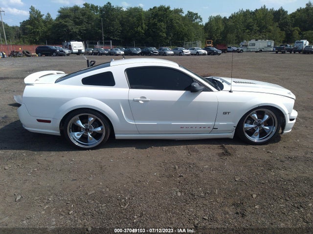 2006 FORD MUSTANG GT VIN: 1ZVHT82H565165000