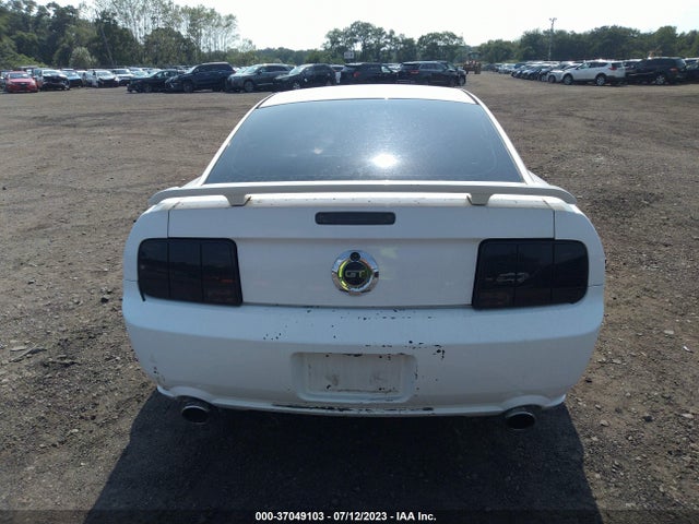 2006 FORD MUSTANG GT VIN: 1ZVHT82H565165000