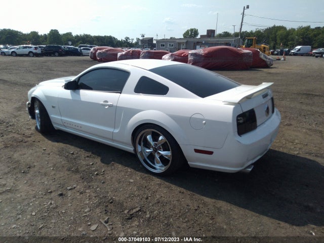 2006 FORD MUSTANG GT VIN: 1ZVHT82H565165000