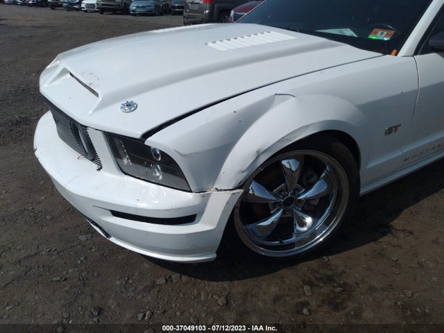 2006 FORD MUSTANG GT VIN: 1ZVHT82H565165000