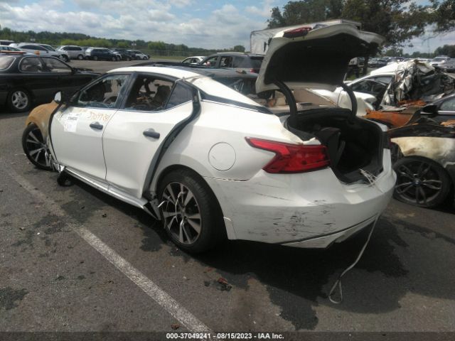 1N4AA6AP9HC451508 Nissan MAXIMA SL